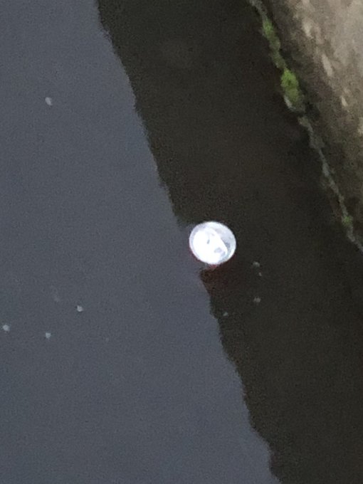 キキ 高画質 のtwitterイラスト検索結果 古い順 キキ 高画質 のtwitterイラスト検索結果 古い順