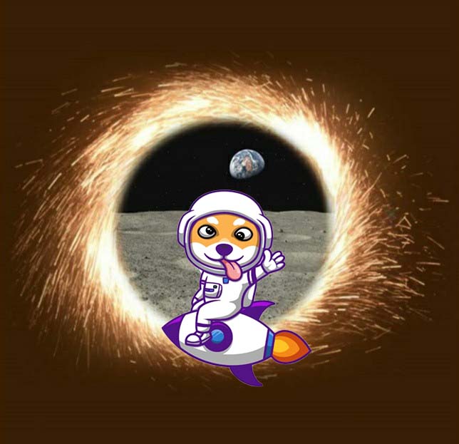 OAtterree's tweet photo. @Shibby_finance #findshibby 🤞🍀😊
@babacrypto2 @steve_7an @GomaMiles 

Unfortunately, I really have no idea where Shibby is hidden... https://t.co/vV5MiUaMGi