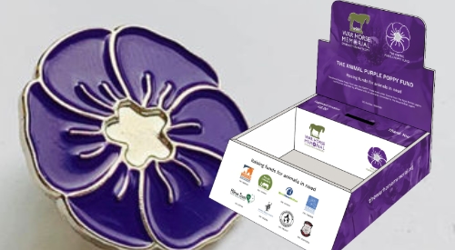 It's our Animal Purple Poppy Fund 2021 launch day. Buy a badge to help desperate animals. ow.ly/WDYt50F5ait  <a href="/TheBrooke/">Brooke 🐴🧡</a> <a href="/manechance/">Mane Chance</a> @HorseCharity <a href="/BlueacreHorses/">Blueacre Rescue</a> <a href="/horsetrust/">The Horse Trust</a> <a href="/DonkeyBreedS/">Donkey Breed Society</a> <a href="/CotsWildTweets/">CotswoldWildlifePark</a> @EdinburghRide <a href="/Raystede/">Raystede</a> <a href="/greyhoundtrust/">Greyhound Trust</a> <a href="/CotebrookShires/">Cotebrook Shire Horse Centre</a>