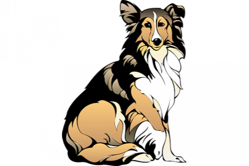 petsandstyles's tweet photo. Fantastic, isnt it?
 
Love Pets? Visit us at: https://t.co/WSTWhiJdR0
 
#PetsGoneRogue #petsittingservices #petsphotography https://t.co/etLjFeQH5m