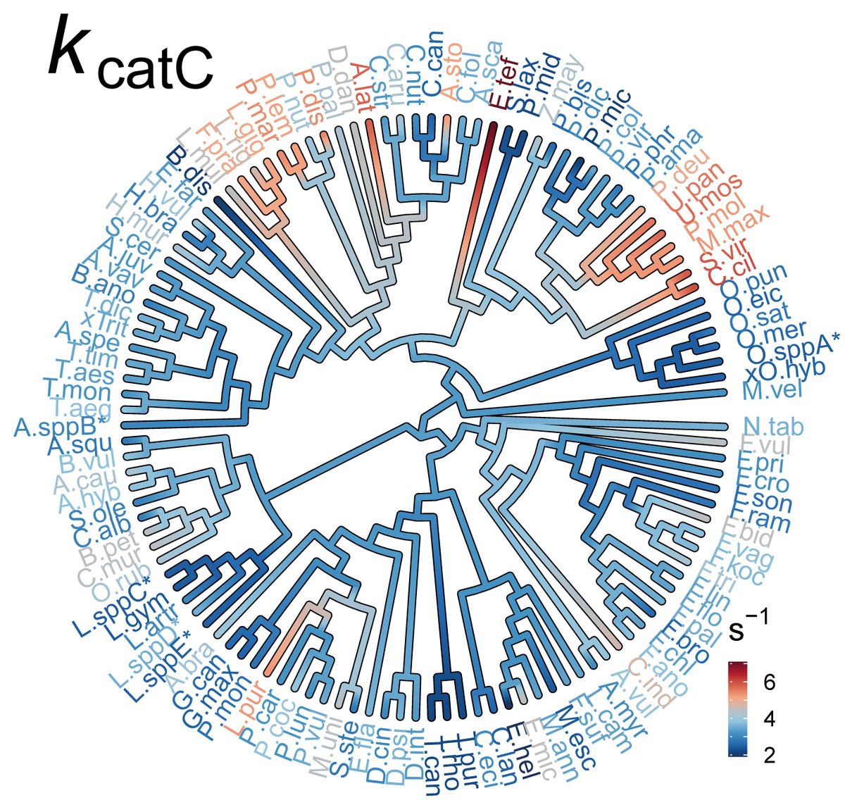 Why is rubisco not better at fixing CO2? It is thought that catalytic trade-offs constrain rubisco evolution. Here <a href="/JBouvierPlants/">Jacques Bouvier</a> shows that these catalytic trade-offs are weak and that rubisco adaptation is more limited by phylogenetic constraint.

1/5

academic.oup.com/mbe/advance-ar…