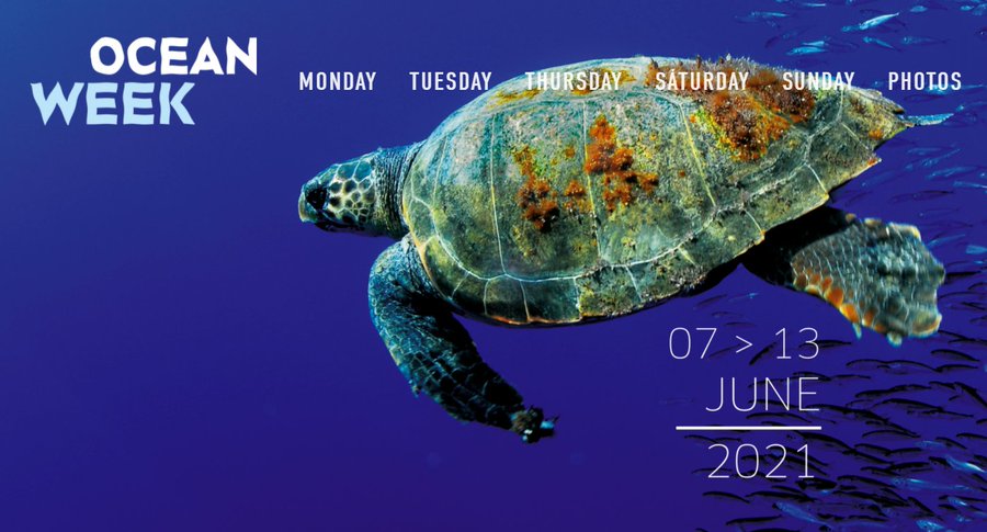vitcheva_eu's tweet photo. I am in #OceanWeek at the “Conclusion Blue Manifesto Checkpoint” session with a great opportunity to discuss and review progress of the #BlueManifesto” 👉 https://t.co/oVj0WH28dX #ZeroPollution #EUGreenWeek #RethinkPlastic #WorldOceansDay https://t.co/yOYJ1Uc8Dw