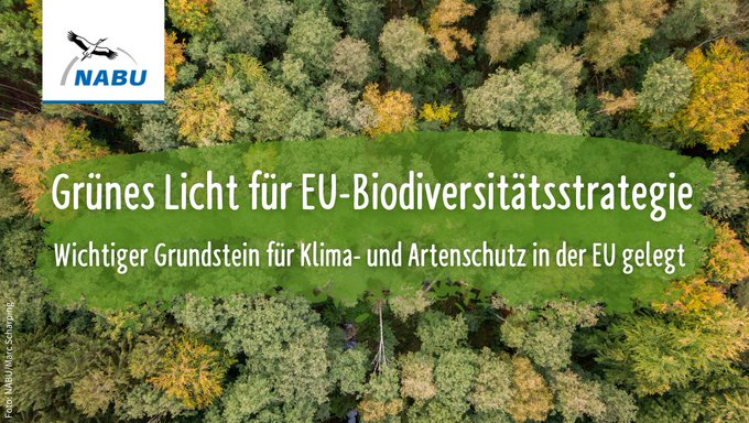 Liebe MEPs im #EPlenary: der Umweltrat gab bereits im Oktober 2020 grünes Licht. Heute sind Sie dran: bitte volle Unterstützung für die #EUBiodiversity Blaupause von @VSinkevicius. Es geht um unsere Existenz, wir brauchen ähnlich #EUClimateLaw endlich verbindlichen #Naturschutz!