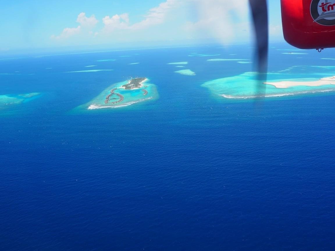 KuoniMetro's tweet photo. #WorldOceansDay 
Saving the Coral Reef in the Indian Ocean, amazing marine life in the Great Barrier Reef and stunning views of the Maldivian Atolls 🌎🌊 https://t.co/tVZ5MgZ6xo
