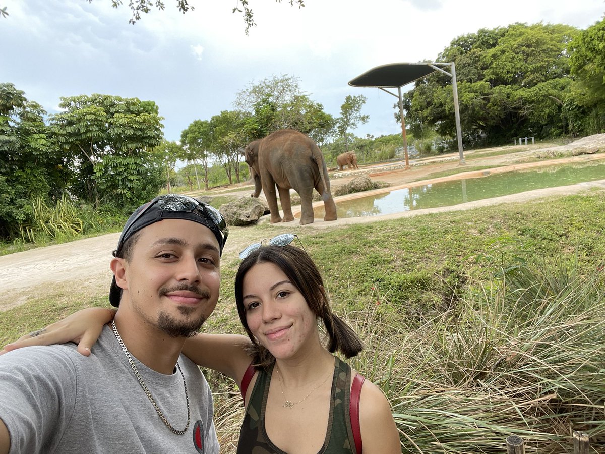 nanobearrzz's tweet photo. Great day at the zoo prego wifey😍😘, hot asf tho 🥵 https://t.co/8VcYKgYBea