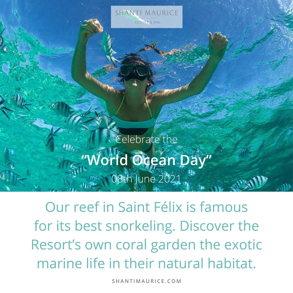Shanti_Maurice's tweet photo. Today, we celebrate #WorldOceanDay as we strive to protect the local lagoon with Reef Conservation in Mauritius. 

#ShantiSeva #ShantiCollection #ShantiMaurice #Mauritius #ParadiseIsland https://t.co/wPbGVqOYtA