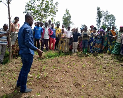 DgmRdc's tweet photo. Projet d’Appui aux Communautés Dépendantes de la Forêt en RDC : 260 ménages PA et COLO formés sur les techniques culturales et plantation d’arbres à Kalonge, https://t.co/zlUhi5J880 https://t.co/pQKpk6q8Gq