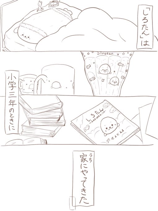 Sappoi さっぽい 立体アイロンビーズさん がハッシュタグ しろたん をつけたツイート一覧 1 Whotwi グラフィカルtwitter分析 Sappoi さっぽい 立体アイロンビーズさん がハッシュタグ しろたん をつけたツイート一覧 1 Whotwi グラフィカルtwitter分析