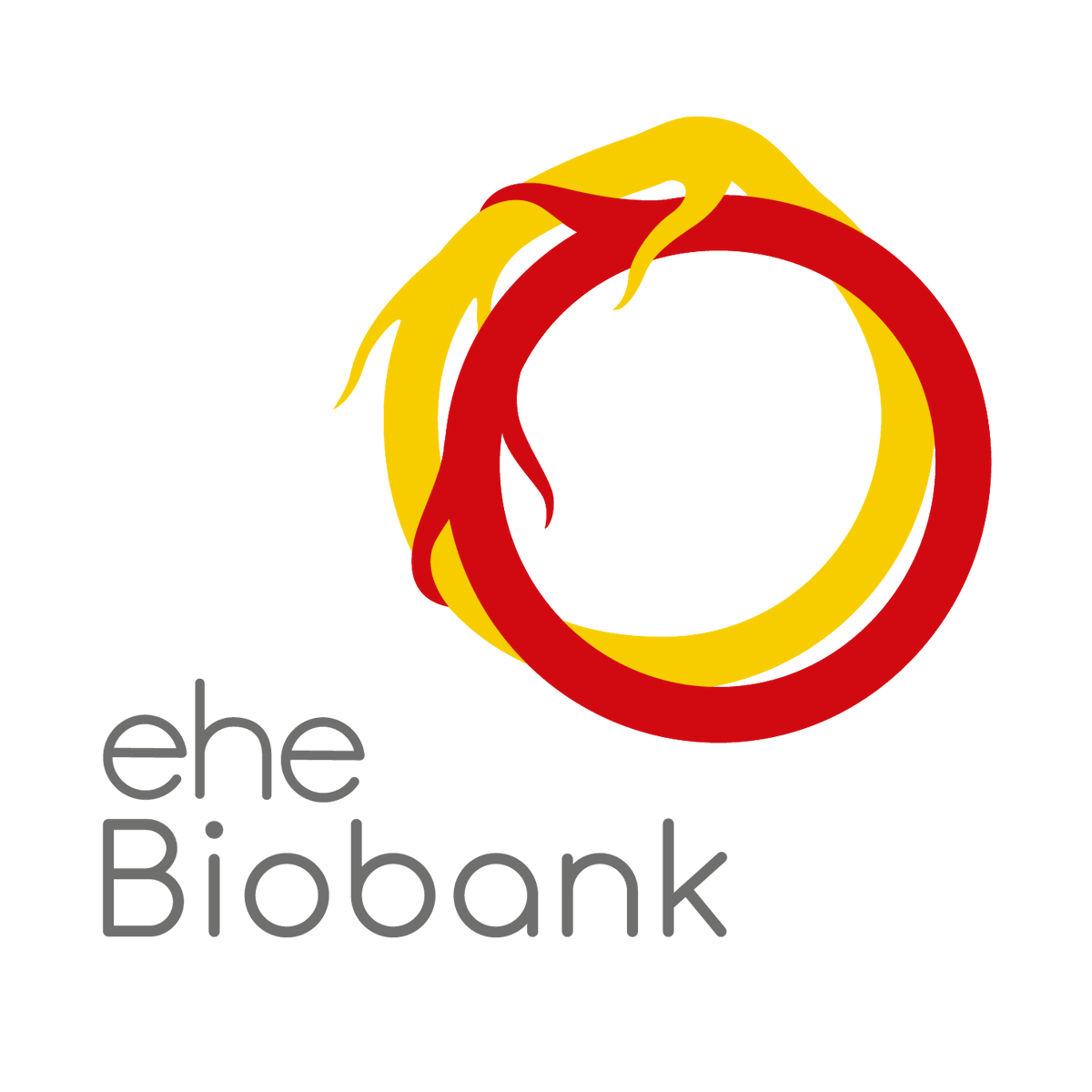 HuangLabICR's tweet photo. We are delighted to announce the launch of The UK National EHE BioBank! The BioBank is based @royalmarsdenNHS &amp; will store samples from Epithelioid Haemangioendothelioma (EHE) patients for use in research. For more information please follow the link below; https://t.co/M7lF7jHS9L https://t.co/4d1s8apekf