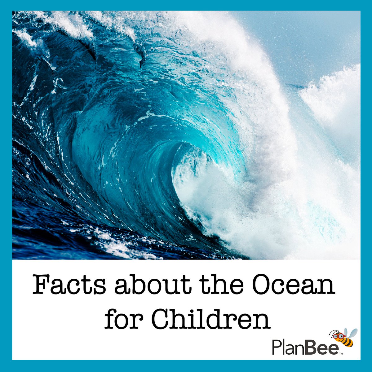 PlanBeeTeaching's tweet image. Today is World Ocean Day 🌊 why not challenge your class to learn as much as they can about our world’s oceans with our &apos;Facts about the Ocean for Children&apos; blog? planbee.com/blogs/news/fac… #edutwitter #worldoceanday #factsforkids