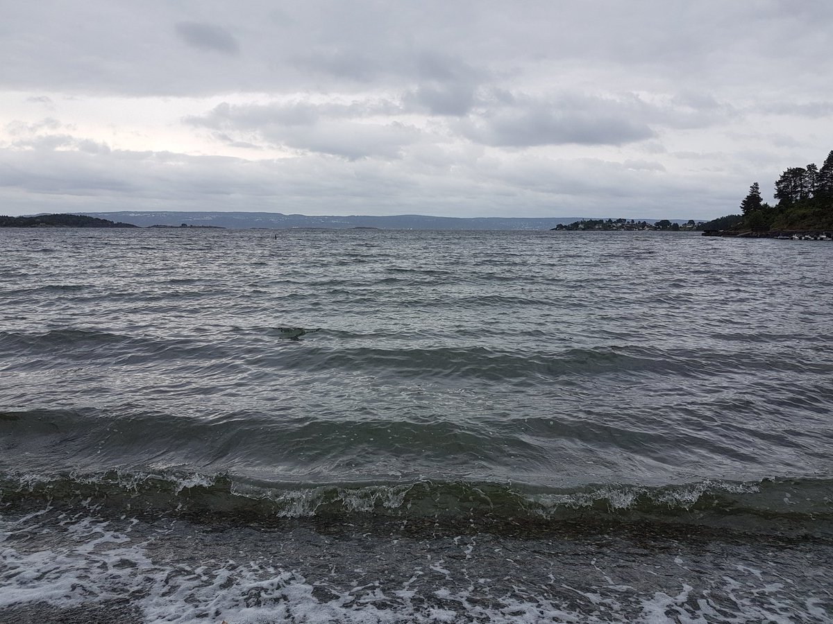 annelitiainen1's tweet photo. Meri ja minä #Nesbru #Norja #maailmanmerienpäivä #WorldOceansDay #matka2018 https://t.co/Wxk9U8VAIj