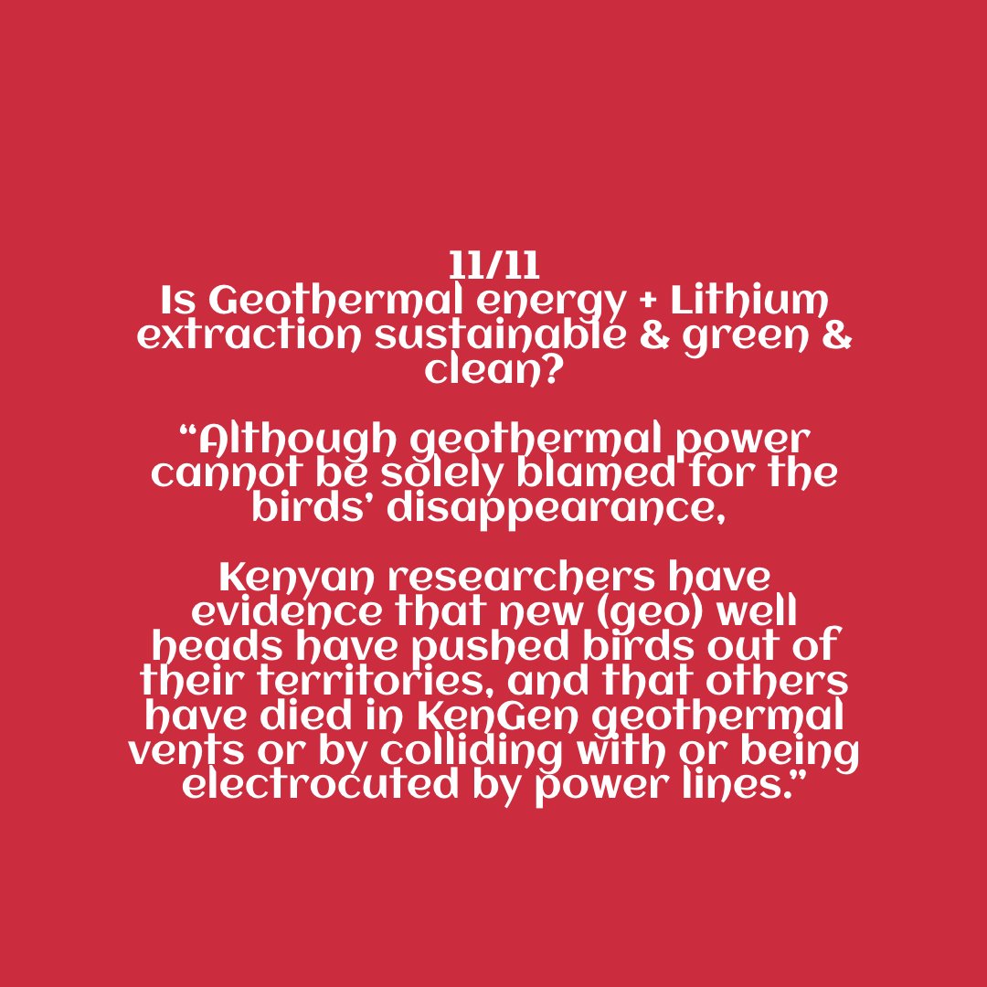 11/11Is Geo energy + Lithium extraction clean?“Although geothermal power cannot be solely blamed for the birds’ disappearance Kenyan researchers have evidence that new (geo) well heads have pushed birds out of their territories, and that others have died in KenGen geothermal"