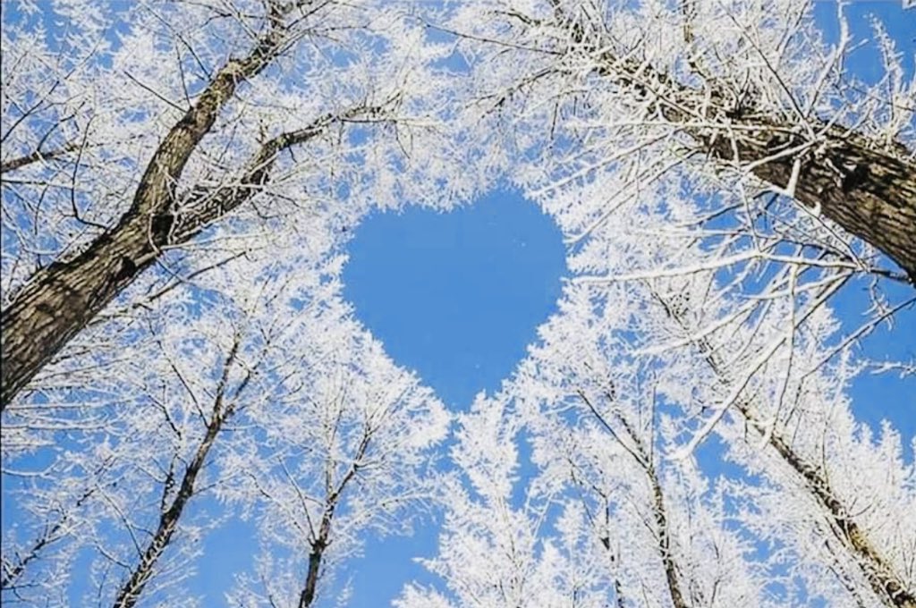 Proverbs 4:23
“Keep thy heart with all diligence; for out of it are the issues of life.”💙🎚