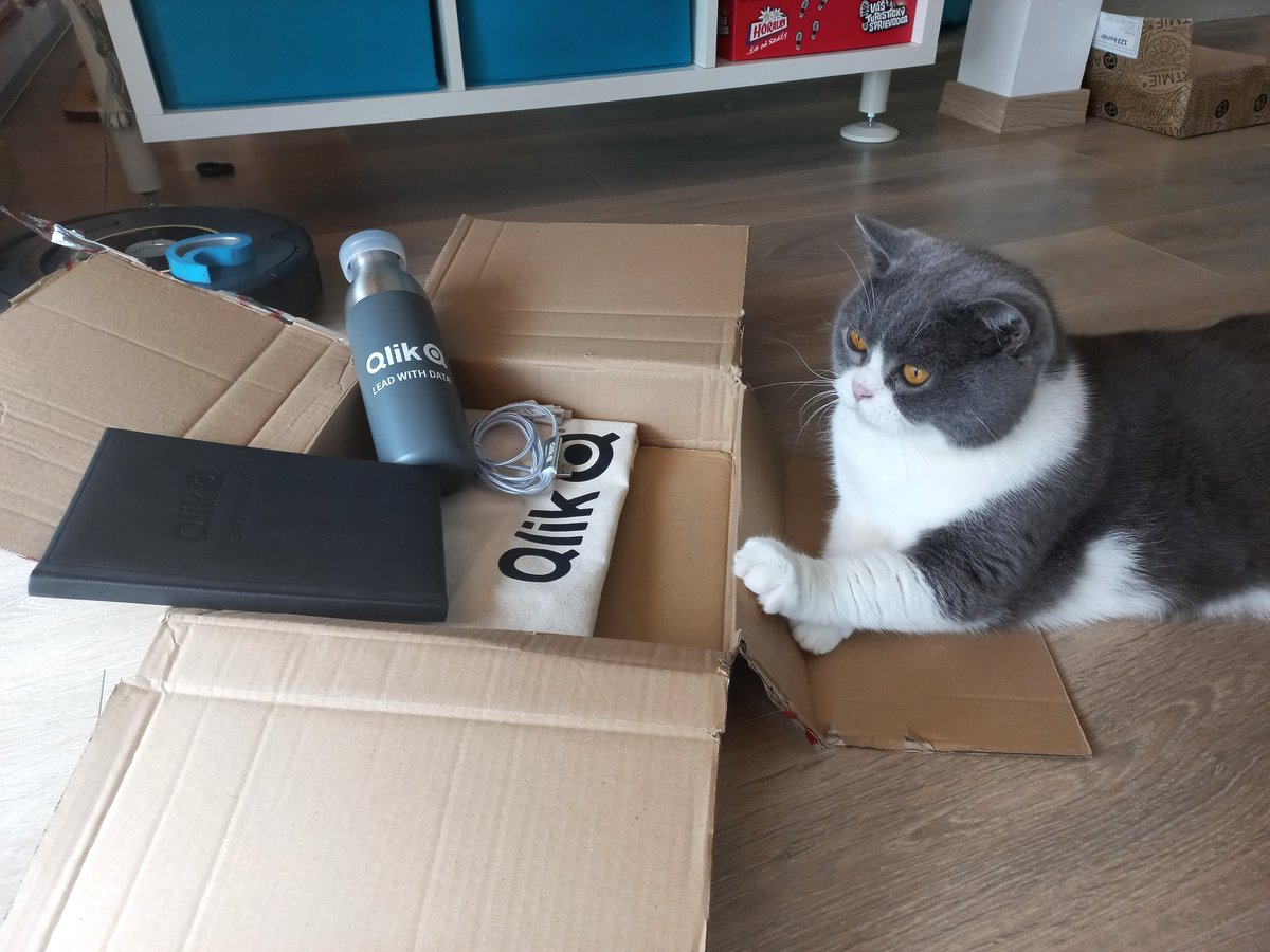 Marvin watched the #QlikWorld with me so now he wants the <a href="/Qlik/">Qlik</a> swag!😅