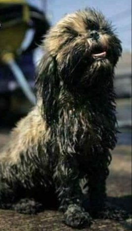 tonideltoro71's tweet image. LO TRISTE NO ES ESTAR
ABANDONADO.....
LO TRISTE ES SENTIRME
ABANDONADO POR ALGUIEN QUE AME