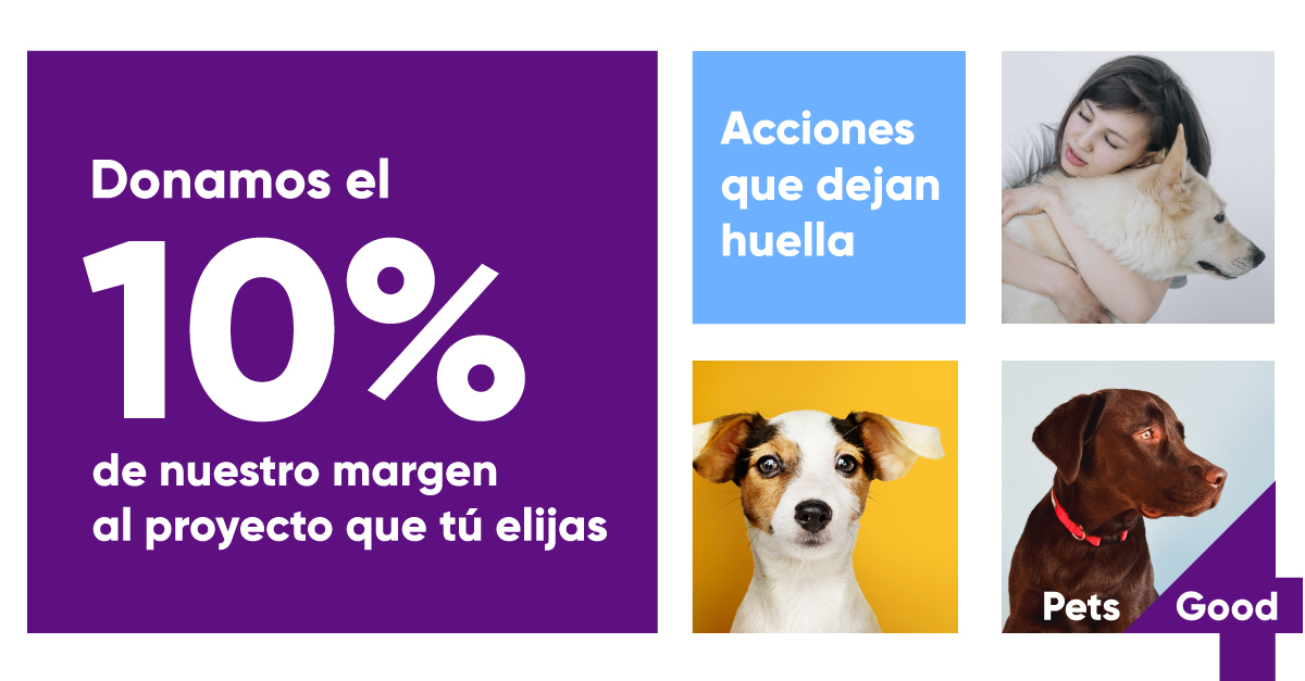 Pets4Good_es's tweet photo. Desde #Pets4Good queremos devolver a la sociedad parte de todo lo que nos dan nuestras #mascotas y por eso #donamos el 10% de nuestro margen a #proyectos #sociales elegidos por nuestros usuarios. ¡Conócelos! #PerroDeAsistencia #cáncer #autismo #covid 

https://t.co/GybCVBR1sh https://t.co/b5v06tYHis