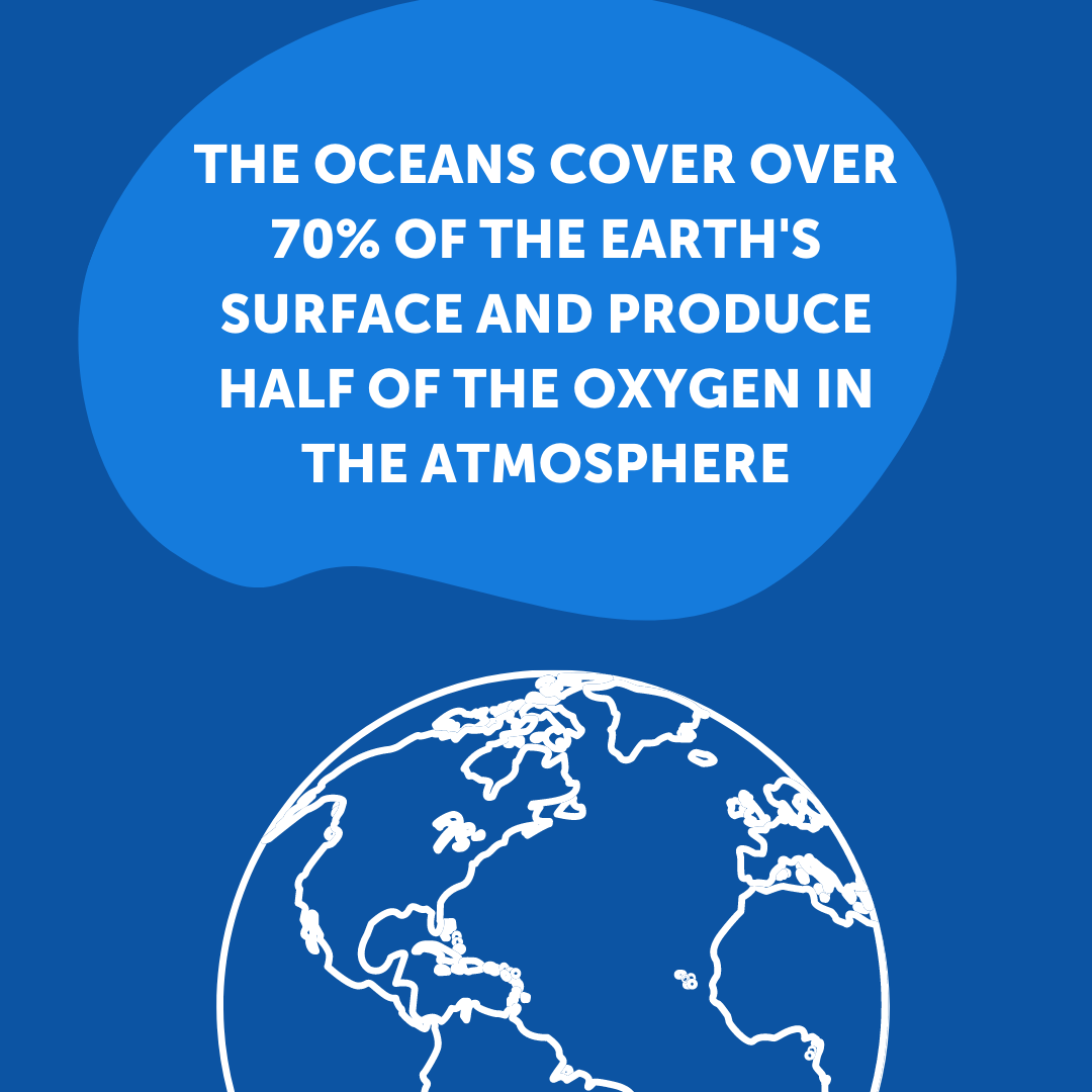 Happy #WorldOceansDay! 🌊 As this year's theme is "Life and Livelihoods," we thought we'd share a few important facts that speak to how much we depend on the ocean. DYK? The oceans produce half of the oxygen in the atmosphere!