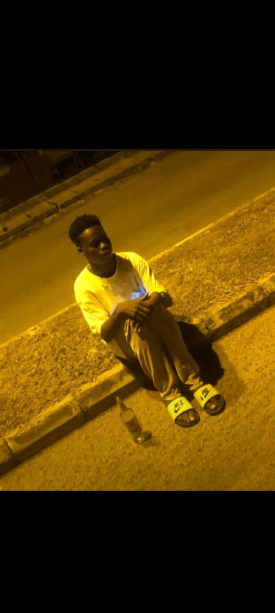 d.a.v.e.o.l.a tweet media