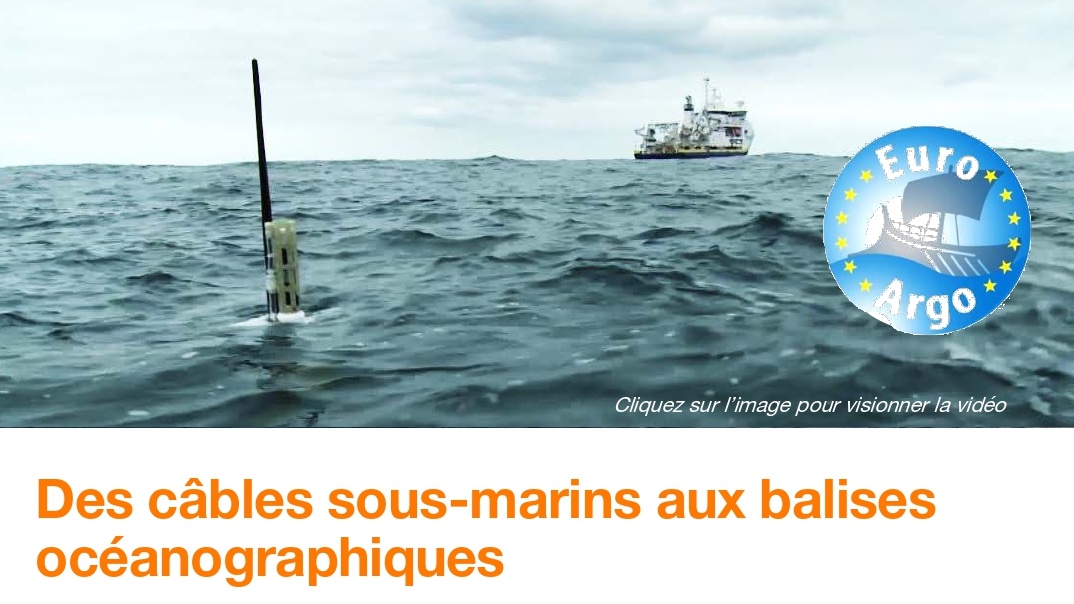#WorldOceansDay | @Orange souhaite que le numérique participe à la préservation de la biodiversité marine. <a href="/OrangeMarine_/">Orange Marine</a> a signé un partenariat avec <a href="/EuroArgoERIC/">Euro-Argo ERIC</a>, consortium scientifique, pour collaborer au programme mondial d’observation des océans ➡️ oran.ge/3golgNk