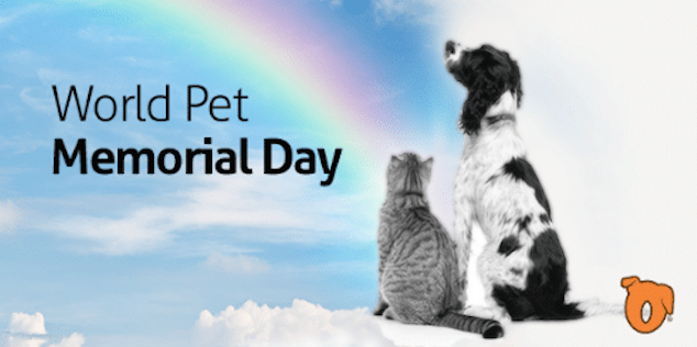 mygavet's tweet photo. In honor of all the pets that left a lasting mark on our hearts 💙 #WorldPetMemorialDay https://t.co/4w8LJvtBda