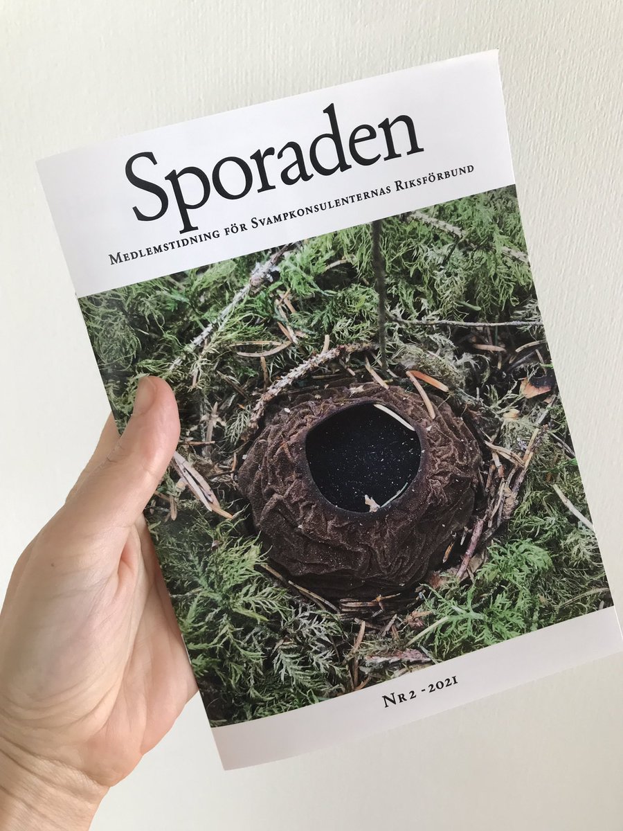 PetraEW's tweet photo. 🎉Mitt första nummer av Sporaden. 
🎉My first issue of Sporaden. I am now a proud member of the editorial staff. 
Sporaden is a magazine for the Swedish mushroom guides/advisors organisation. 
#matsvamp #svamp #plockasvamp #mushroom #fungi https://t.co/ic77kI90or