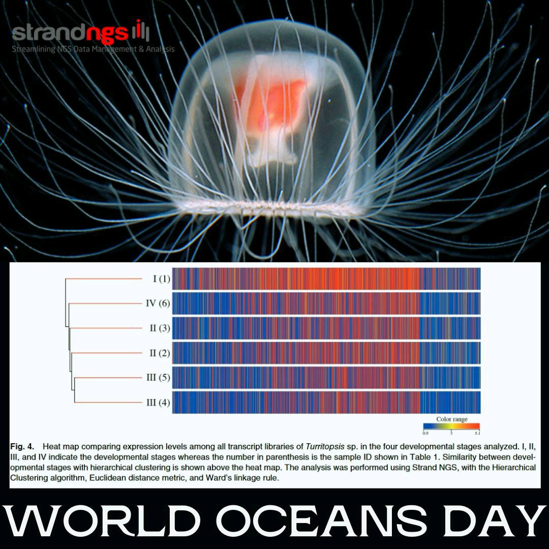 strandngs's tweet photo. Aligning with this year's Oceans Day theme of "Ocean:
The live and the livelihood'. 
This analysis was done in Strand NGS by researchers from Kyoto University as we design our
software to the needs of biologists.
Happy Oceans Day.
https://t.co/xPumpnCmJE https://t.co/mmWXwPUcjz
