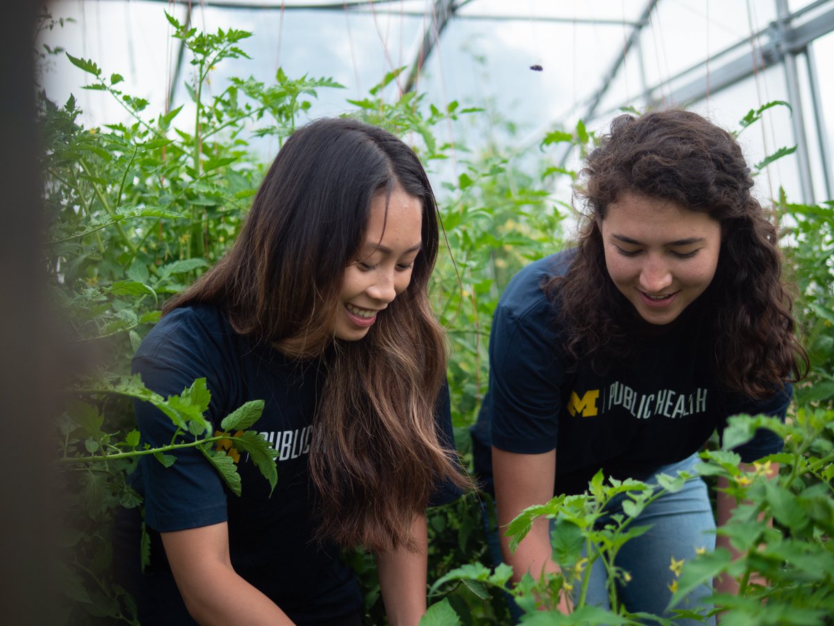 umichsph's tweet photo. NEW — To increase equity and access to #publichealth education, @umichsph is permanently eliminating GRE standardized test scores from the application requirements for Master of Public Health and Master of Health Services Administration programs. 

MORE: https://t.co/K1ArbzsZ1G https://t.co/4wunfSDxVC