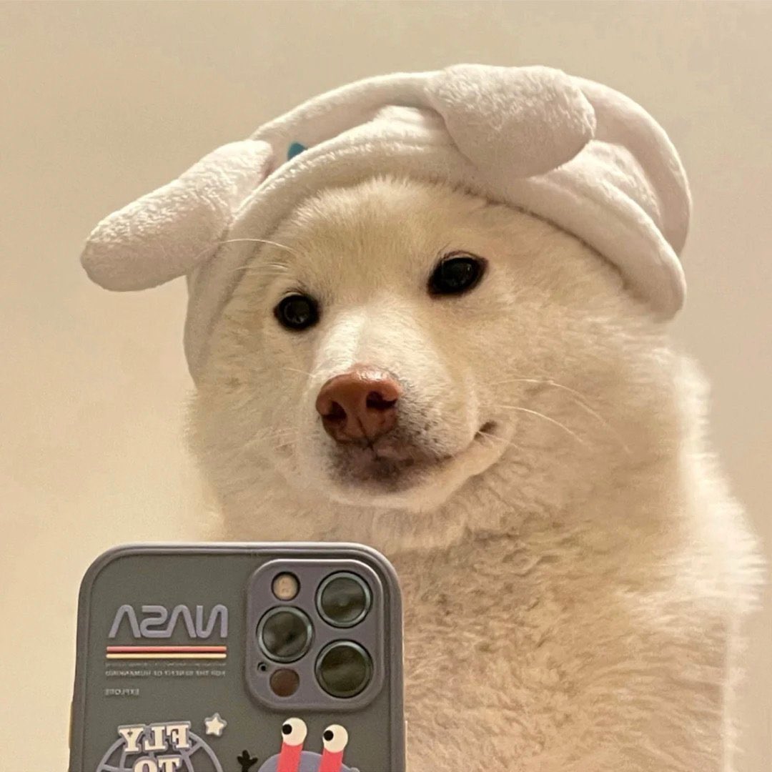 Собака с айфоном