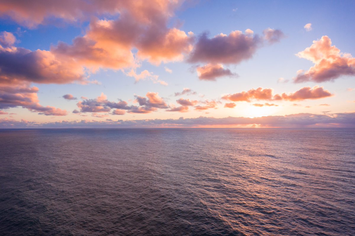 Celebrate World Ocean Day with a bottle of wine, a loved one and a view of the sea ✨ This moment looks like it calls for a rosé 

#MCHFoundation #Winesong #Mendocino #MendocinoCoast #MendocinoCounty #Community #Charity #Nonprofit #HealthandWellness #MendocinoWine #Winemaker