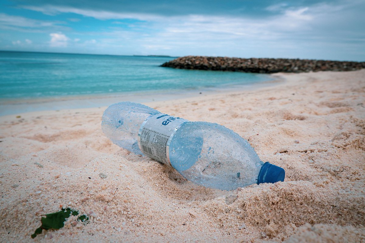 And finally, #microplastics continue to be a major challenge. Corinaldesi et al. show how they wreak havoc on marine habitat-forming species in multiple ways nature.com/articles/s4200…
<a href="/r_danovaro/">roberto danovaro</a> <a href="/CinziaCorinald2/">Cinzia Corinaldesi</a> <a href="/DrTrevorWillis/">Trevor Willis (trevfish.bsky.social)</a> @iolezoo <a href="/CerCarlo67/">Carlo Cerrano</a> <a href="/SznDohrn/">Stazione Zoologica Anton Dohrn</a> <a href="/UnivPoliMarche/">UnivPM</a>