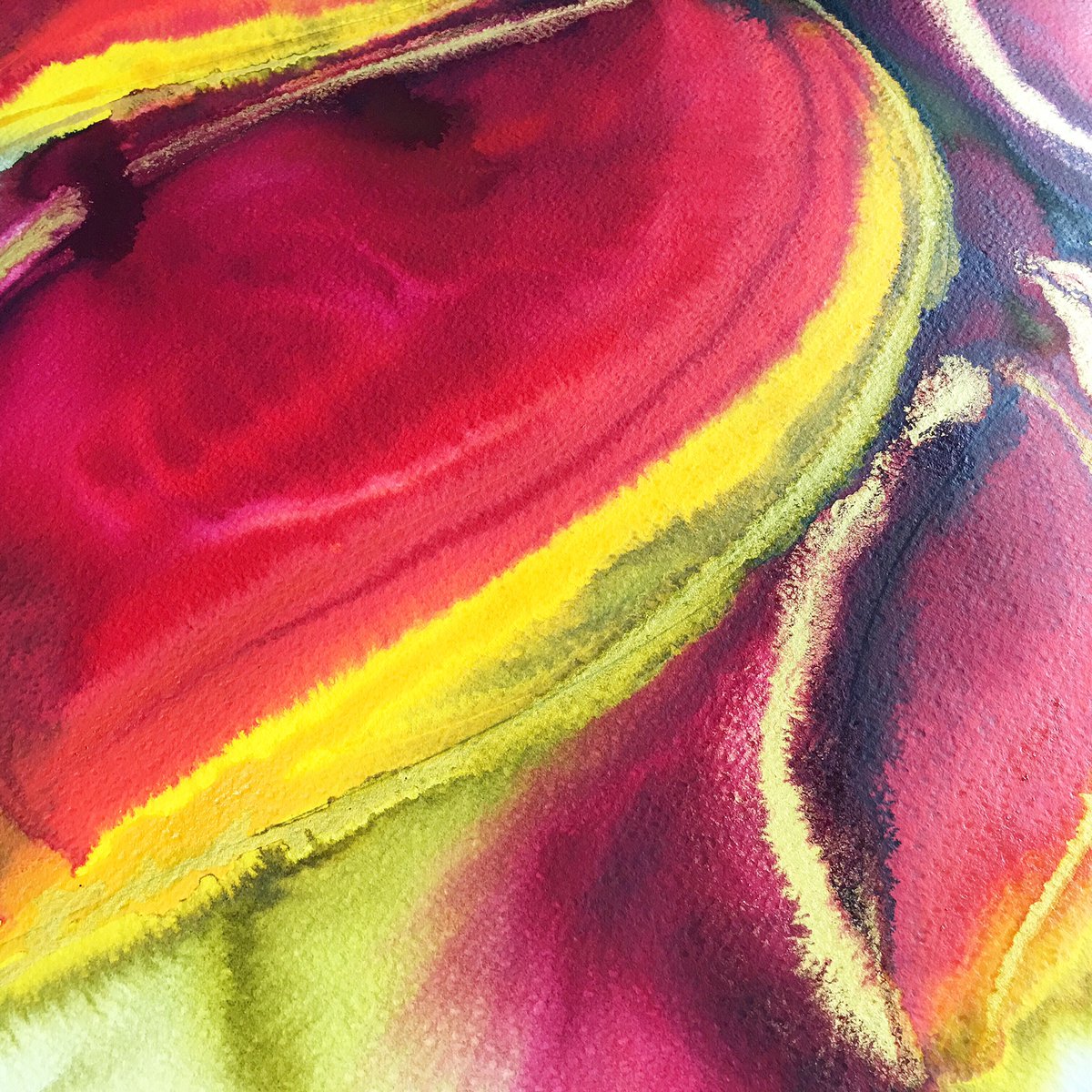 veraartstudio's tweet photo. Looking forward to getting my new website up and running soon to upload my original #artworks, including this one - part of my polypetalous series - celebrating #flowers. #flowerart #floralart #dsfloral #artistsontwitter #artshare #art #artist #artshare #painting https://t.co/WiwiRYFVFC