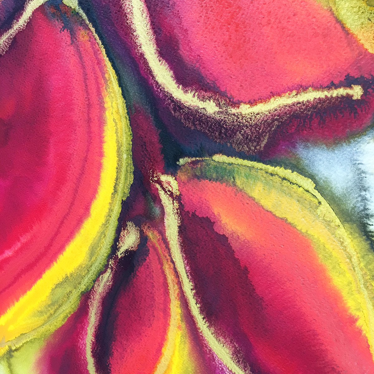Looking forward to getting my new website up and running soon to upload my original #artworks, including this one - part of my polypetalous series - celebrating #flowers. #flowerart #floralart #dsfloral #artistsontwitter #artshare #art #artist #artshare #painting