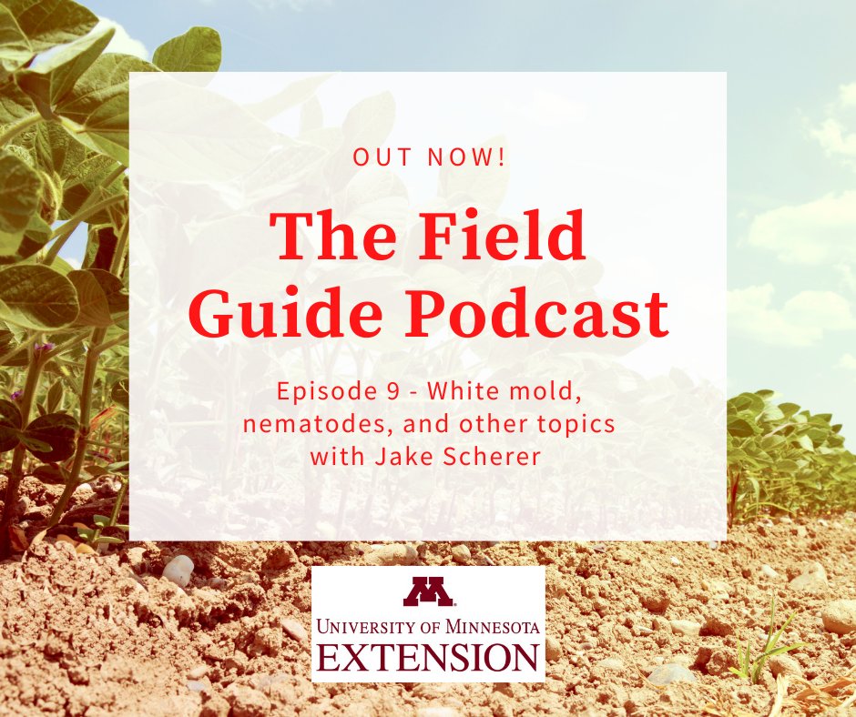 UMNExt_FH's tweet photo. Episode 9 of the Field Guide Podcast is out now! This week we are back with Jake Scherer to discuss #soybeans, #whitemold and #nematodes. 
https://t.co/ssqPON5F1i https://t.co/0HCmDbNOET