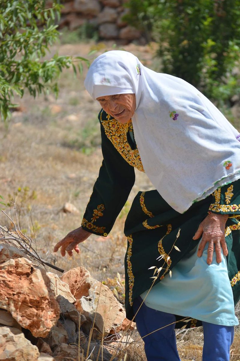 QudsNen's tweet photo. Despite being too aged, Hajja Hamda, an old #Palestinian woman from the village of Zawiya in the occupied West Bank district of Salfit, is still farming her land and preserving her rural lifestyle. https://t.co/Lugka4SbgS