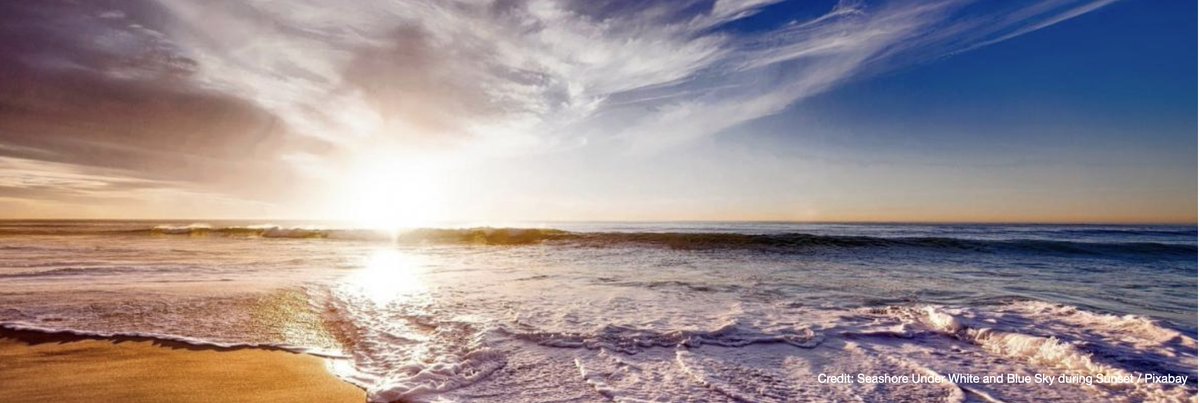 AdaptXChange's tweet photo. Healthy oceans are vital for a #resilient world.  However, they have suffered heavy impacts of #ClimateChange.

The NWP expert group on oceans' latest supplement facilitates access to funding from the @theGCF for marine nature-based solutions.
Learn more➡️https://t.co/tXYz2ZmzcE https://t.co/Jb8UCufuPy