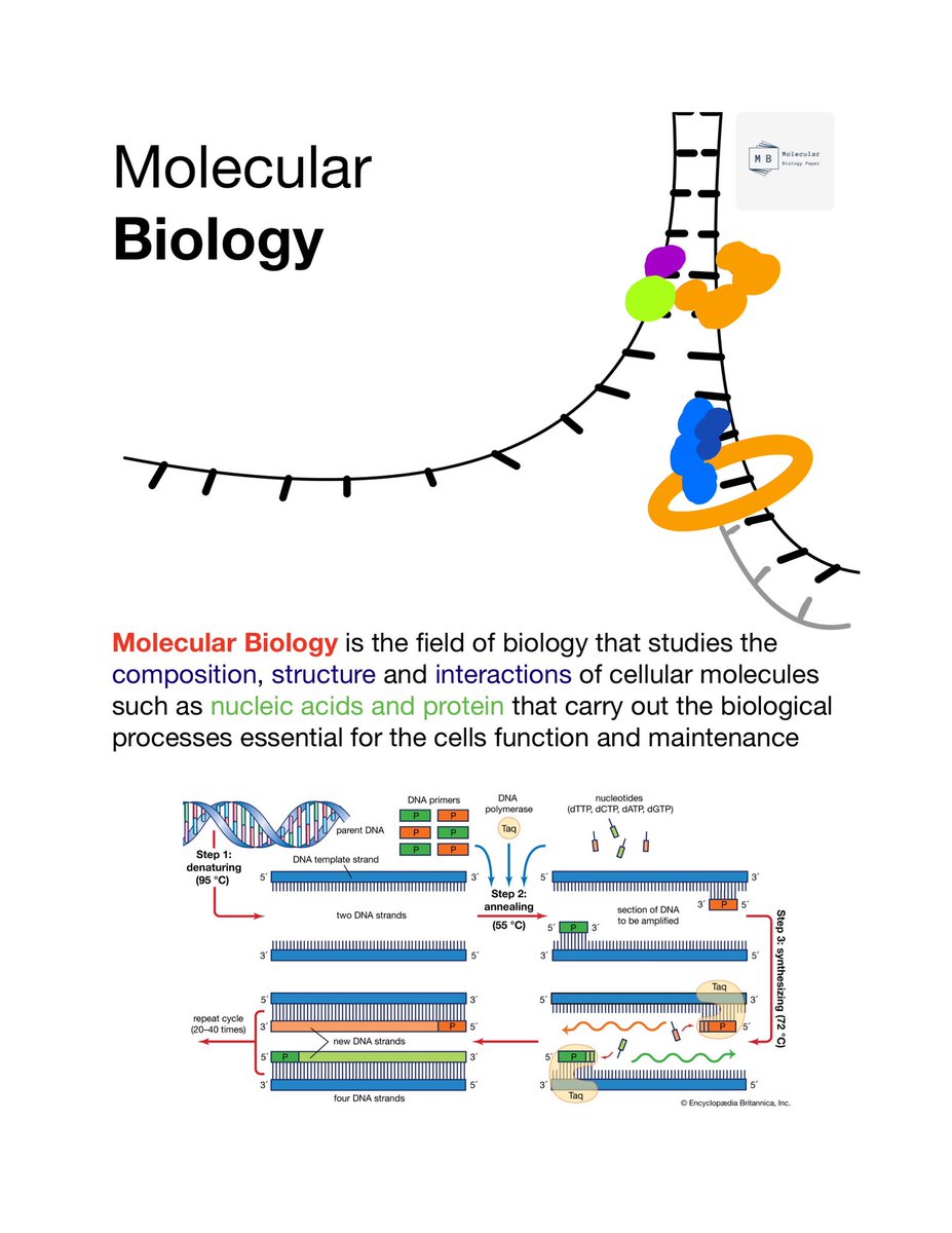 Molecular Biology Paper (MolBiologyPaper) Twitter
