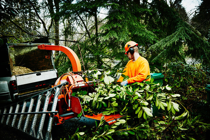 Here's how to find a #TreeService company you can trust: bit.ly/3g6EE14