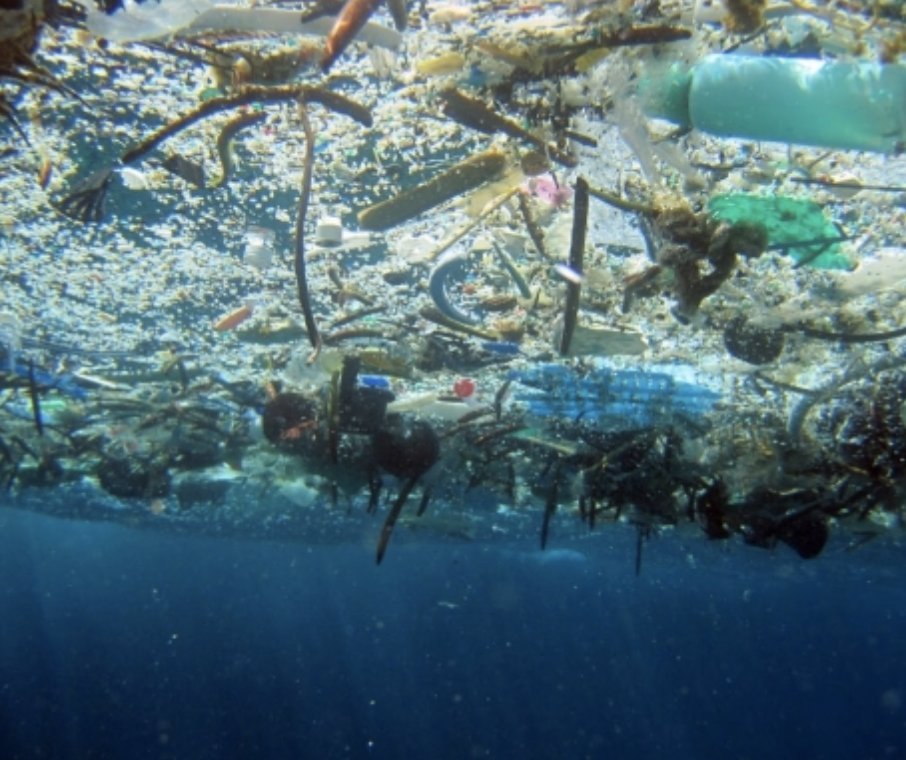Today is world #OceansDay and we're sharing why it matters to us, and why it should matter to you. Our packaging is 100% plastic-free, so our products don't end up in the Great Garbage Island: kokonatiorganics.com/oceans-day-202… #ZeroPlastic #kokonatiorganics #ethicalproducts