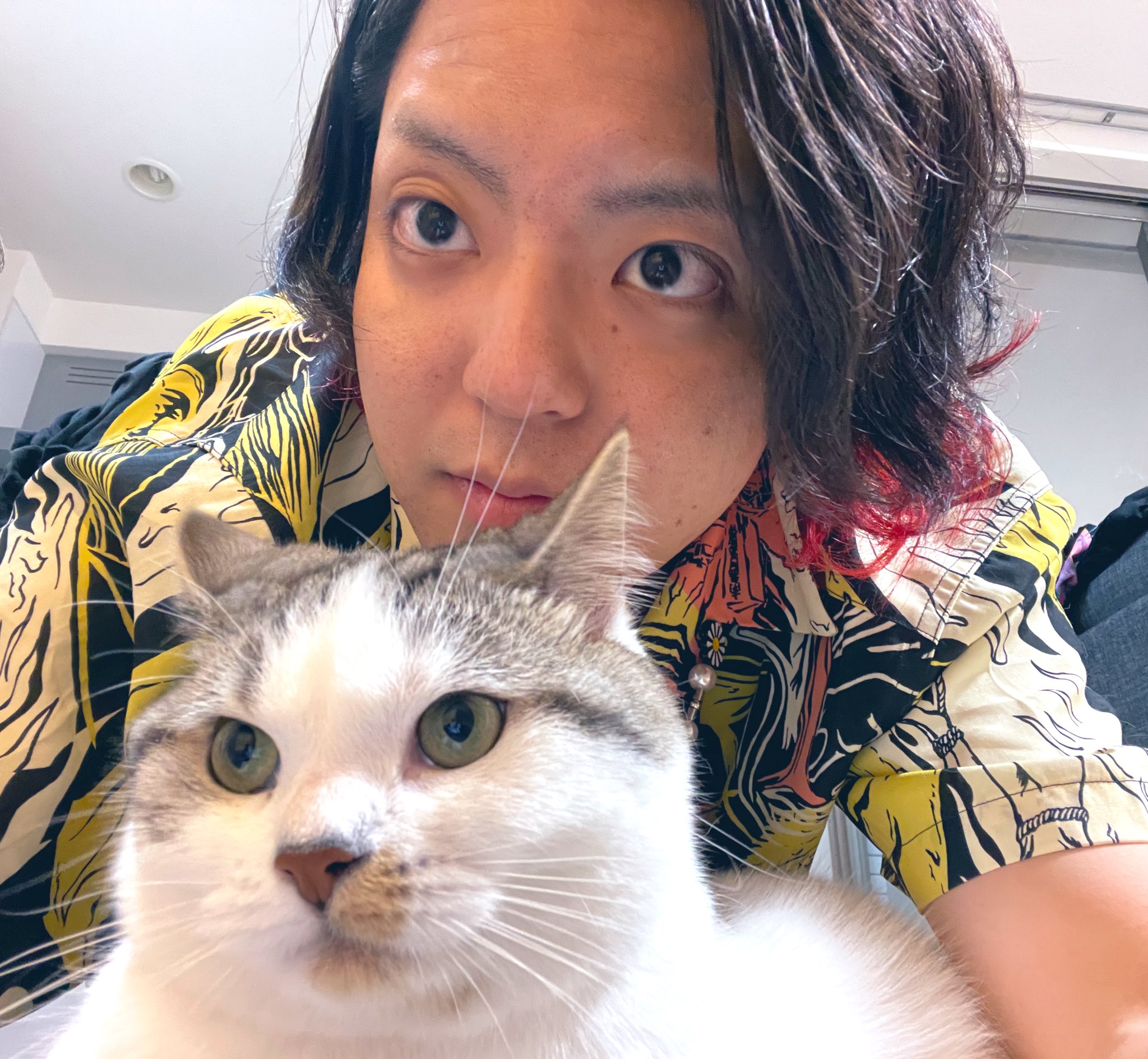 【tmk】夕闇に誘いし漆黒の天使達 小柳 ぬいぐるみ 夕闇に誘いし漆黒の天使達 小柳 猫 ぬいぐるみ