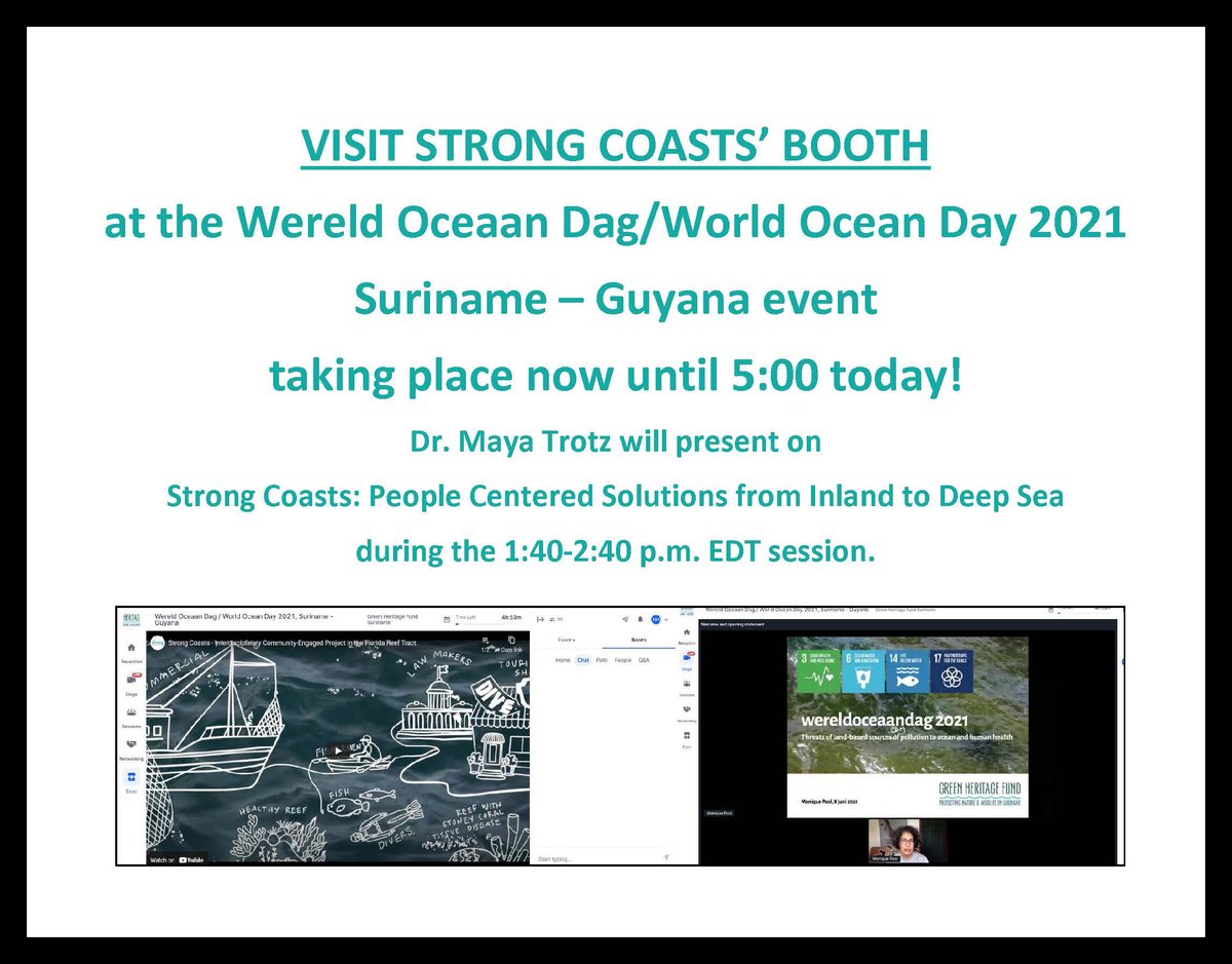 Strong Coasts tweet media