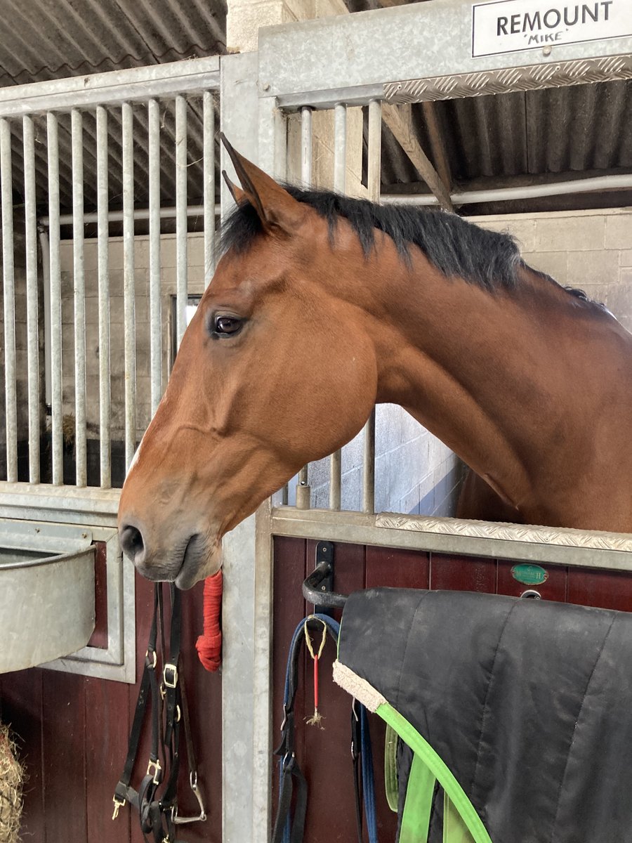 Lovely Mike waiting patiently for his tea #goodthingscometothosewhowait