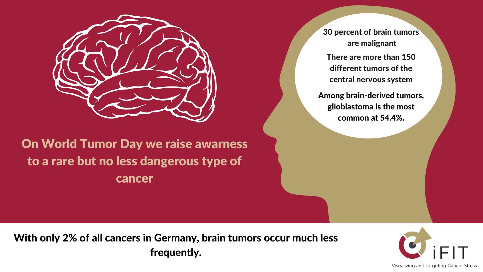 Most Rare Type Of Cancer