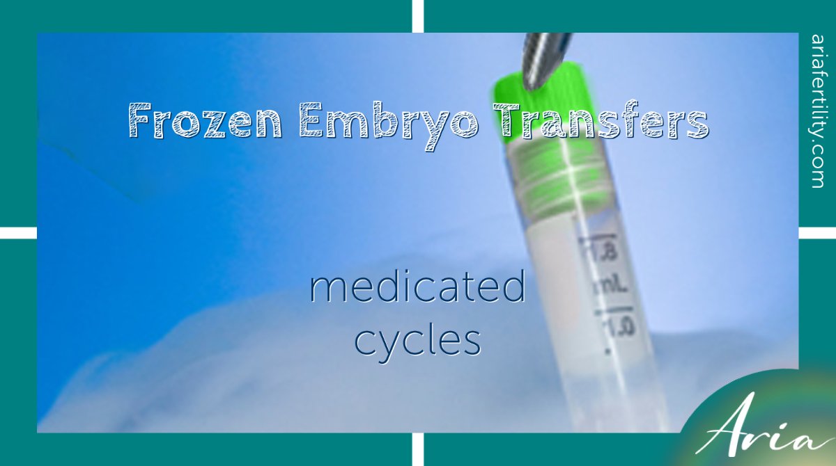 Medicated cycles are slightly more flexible in terms of the day of transfer.

Find out more about personalised fertility at ariafertility.com

#ivf #ivfuk #ivflondon #ivfcliniclondon #fertility #infertility #fertilitycliniclondon #fertilityuk #ivfhelp
#loveislove
#pride2021