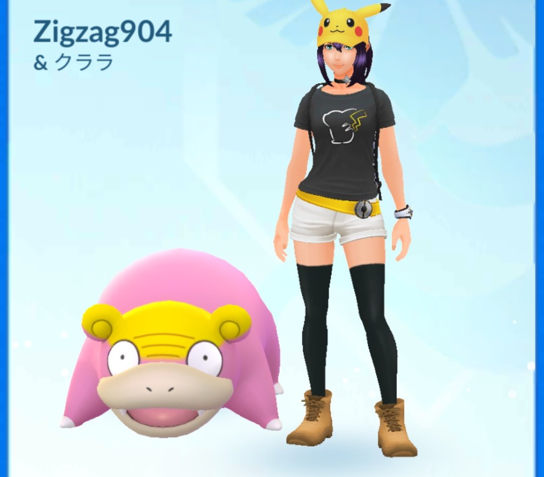 ソードシールド ジグザグマの種族値 わざ 特性など能力と入手方法 ポケモン剣盾 攻略大百科