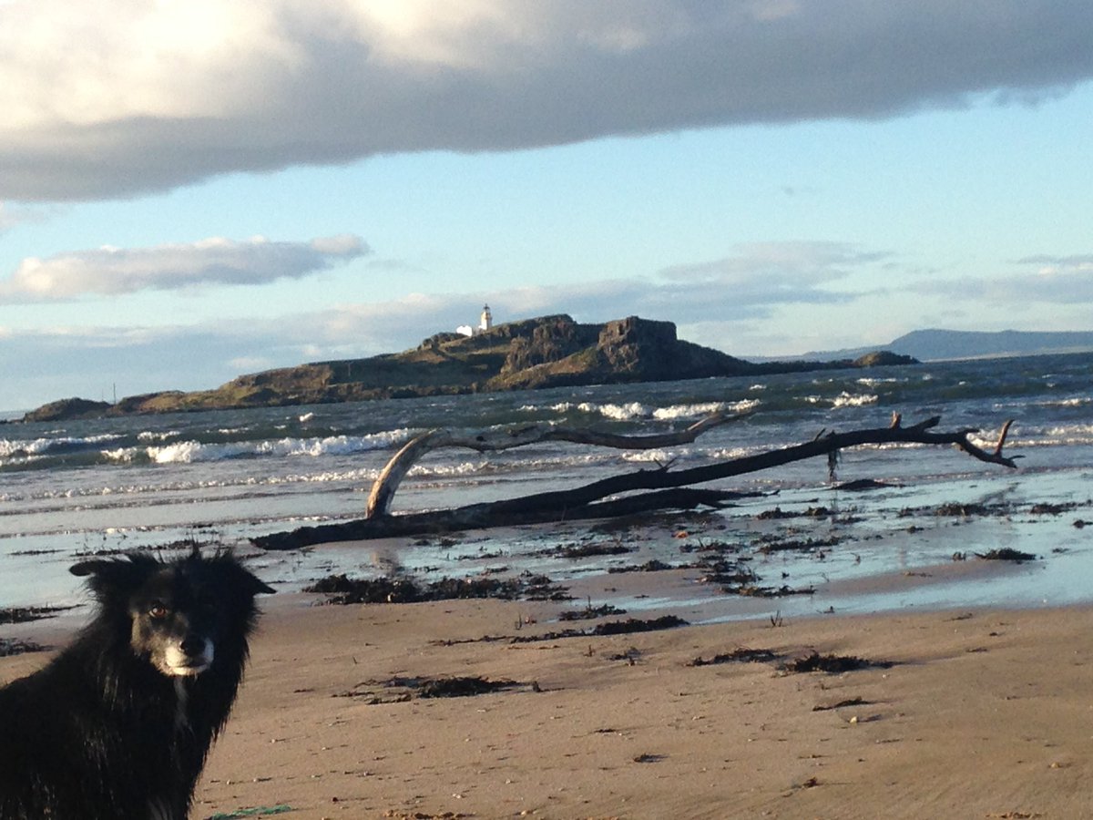 smidds88's tweet photo. @eastlothianlibs Photobombed by my dog while trying to capture this pic at #yellowcraigbeach #eastlothian. Still turned out well I think!!! https://t.co/8whfmweg7R