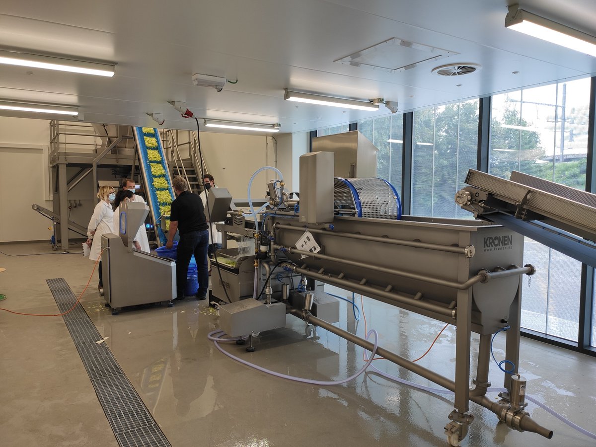 ImcaSampers's tweet image. Vorige week vrijdag kreeg de onderzoeksgroep #VEGiTEC opleiding waarbij er gewerkt werd van grondstof tot vers versneden, gewassen en (MAP) verpakt product. Met dank aan @agrafresh voor de ijsbergsla. De volgende stap is implementatie van sensoren met onze partner @ENMhowest.