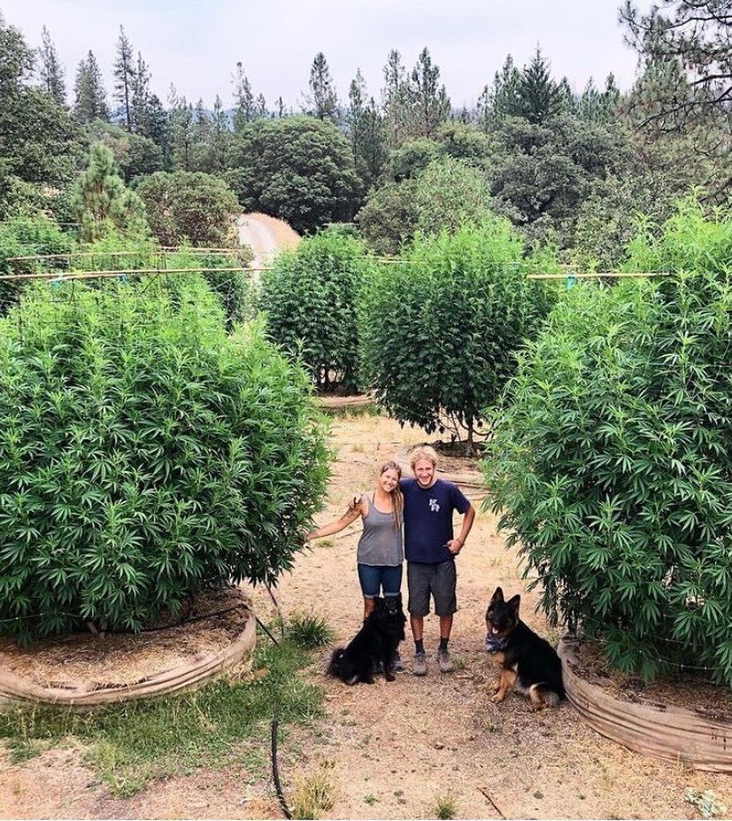 MaconheiroMemo's tweet photo. - sonhei com você 

- o quê? 🤔 

- nada demais 🤭 https://t.co/EkJ8zqgA8M