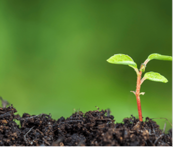 lit_gca's tweet photo. Aujourd'hui le #festivalLIT présente le projet "BIOProtect" qui vise à développer une solution pour réduire la contamination du sol et des eaux par les produits phytosanitaires ➡️https://t.co/SqE3SgkdLf
#agriculture #innovation @UCAuvergne @i_site_clermont https://t.co/dK6krDdQwh