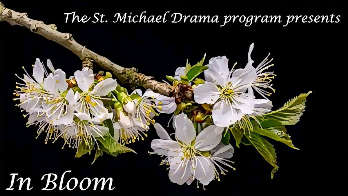 STMikeDrama's tweet photo. Today is the day! The drama program's spring showcase, IN BLOOM, will be premiering on YouTube at 7:00 o'clock TONIGHT! We're excited to show you all what we've been working on!  https://t.co/nRaEvFPUro https://t.co/lRFuhqvCoi