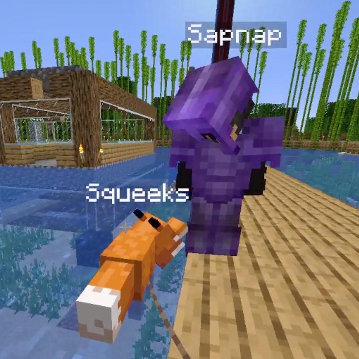 hourlysapnap's tweet image. squeeks ^-^